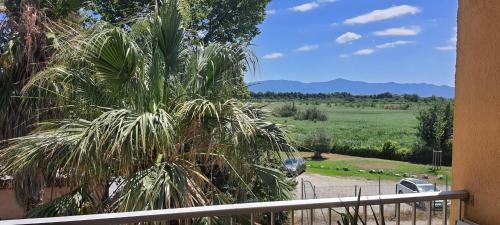 Apartamento Appart 236