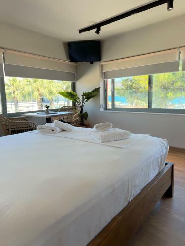 Apartamento Nidus View