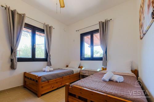 The Serene Cottage On Private Land, Netflix, Nova