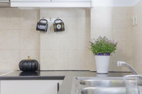 Apartamento Beautiful Eleni 100