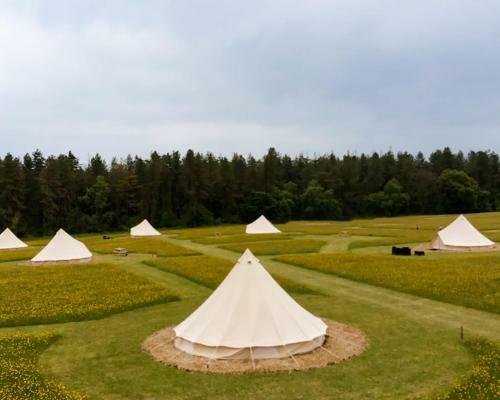 Forest Edge Glamping
