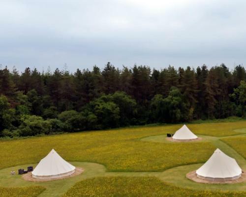 Forest Edge Glamping