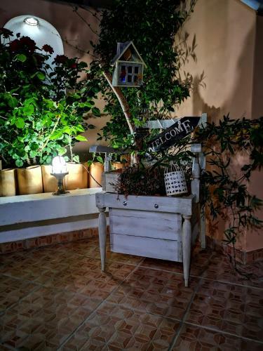 Spetses Center Comfy Apartment