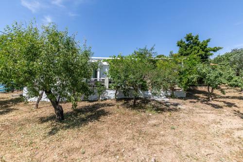 Skopelos Amigdalia Cottage