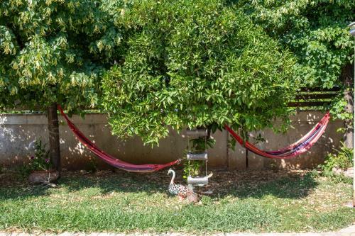 Apartamento House Artemis