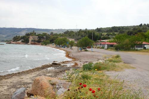 Apartment In Theologos