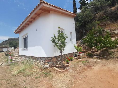 Apartamento Mediterranean Balcony