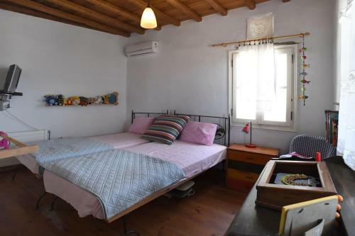 Villa Evilion Traditional House