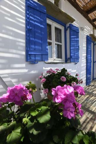 Villa Evilion Traditional House