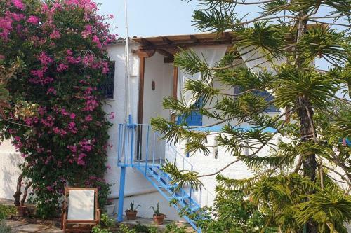 Perivola's House