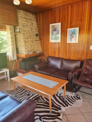Varkiza Chalet
