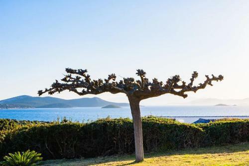 Villa Evia Escape