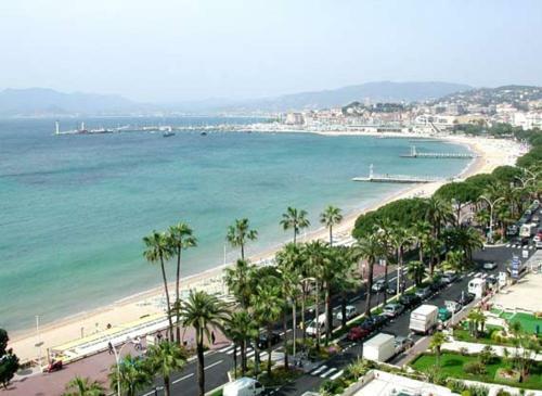Charming Apartment 50 Mt Palais Des Festivals