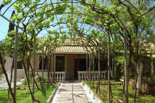 Olive Tree Cottage