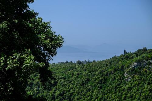 ??????????? ???????????? ????????? ??? ???????- Traditional Villa In Vizitsa, Pelion