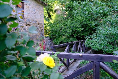 ??????????? ???????????? ????????? ??? ???????- Traditional Villa In Vizitsa, Pelion