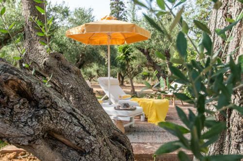 Posada Thires Guesthouse