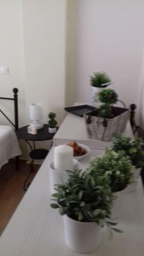 Apartamento Villa Mina