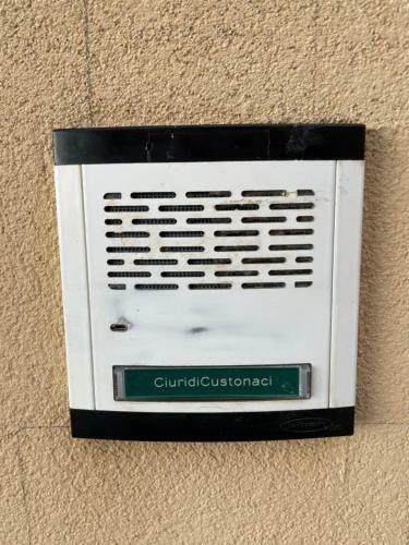 Ciuridicustonaci