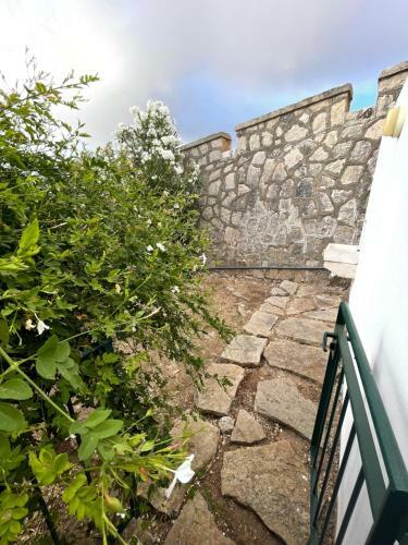 Ciuridicustonaci
