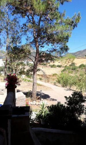 Casa Vacanza Il Mandorlo