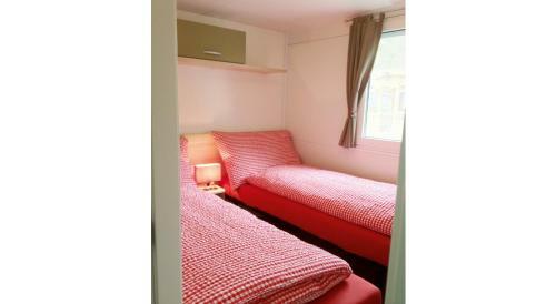 Camping Jungfrau - Holiday Park