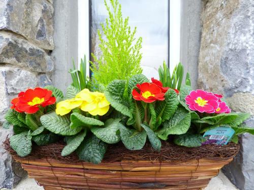Parkhouse B&B
