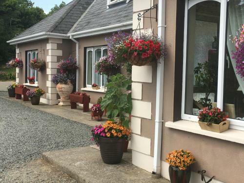Bed & Breakfast Killurin Lodge