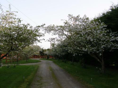 Bed & Breakfast Killurin Lodge