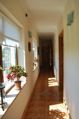 Creevagh Heights B&B