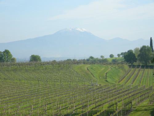 I Vigneti Bed & Breakfast