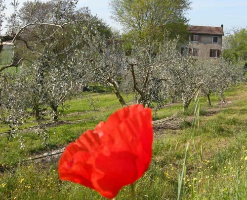 I Vigneti Bed & Breakfast