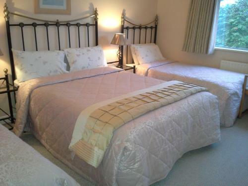 Fern Rock Bed And Breakfast