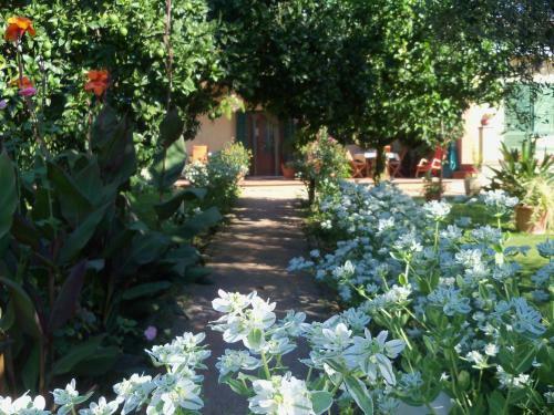 Bed & Breakfast Tavernamici
