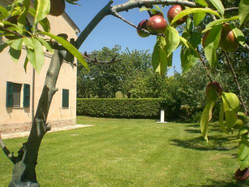 Bed & Breakfast I Ciliegi