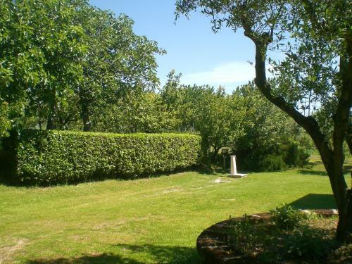 Bed & Breakfast I Ciliegi