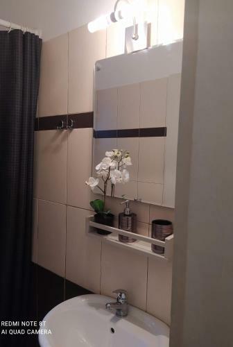 Apartamento Elegant Central Studio Free Wifi And Netflix