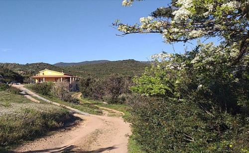 Villa Damiana