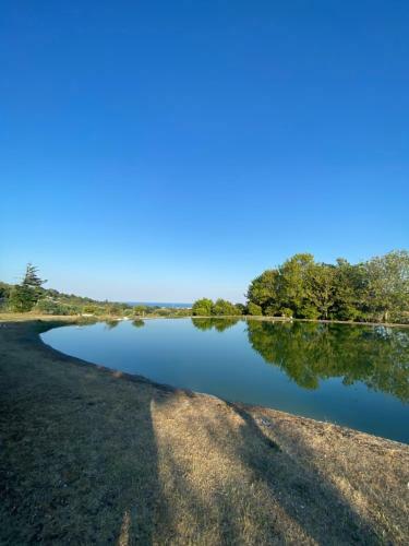 Apartamento Rustico Immerso Nel Verde
