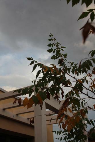 Bed & Breakfast Pioppi Neri R&b
