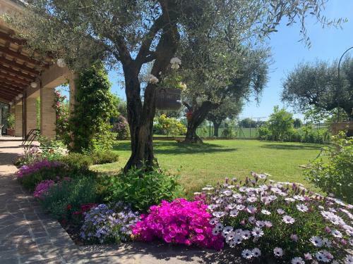 Hostal Affittacamere Vagamondo
