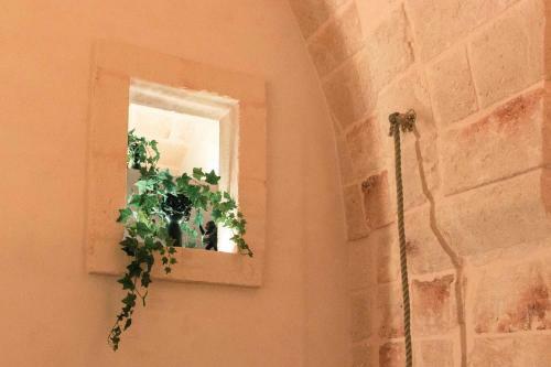 Apartamento Angel Suite
