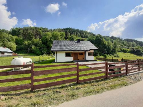 Villa Domek Na Duzynie