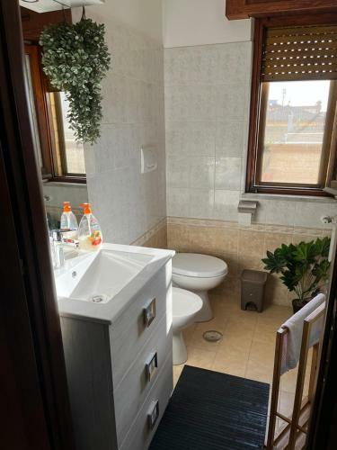 Apartamento Placidiano House