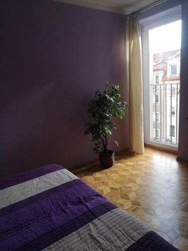 Apartamento Legata