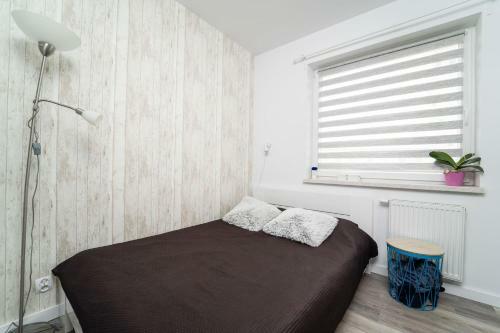 Apartament Belweder