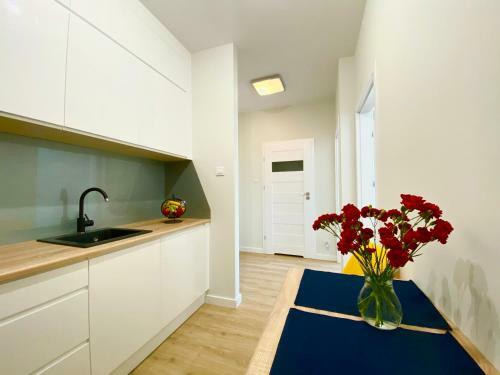 Apartament Green Calamo