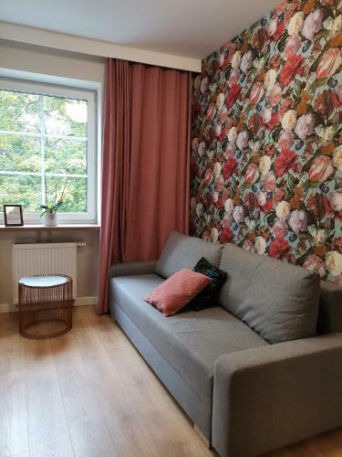 Apartamenty Nad Rzek? ?yn? - Stare Miasto