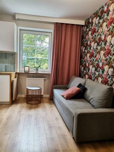 Apartamenty Nad Rzek? ?yn? - Stare Miasto