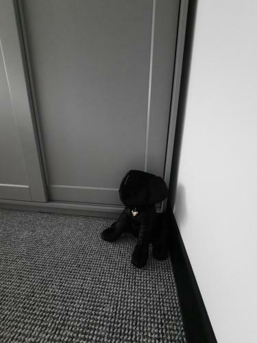 Apartamento Gold&black O?wi?cim Centrum